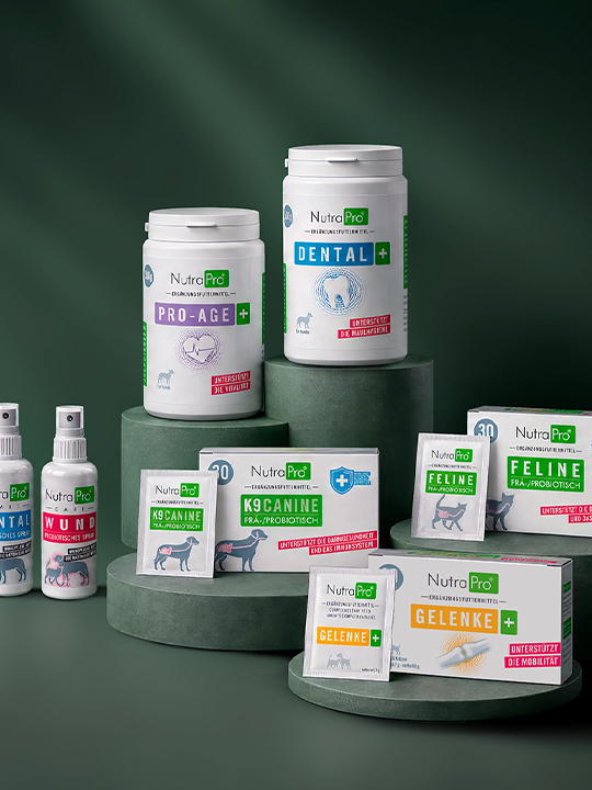 unsere-marken_pro